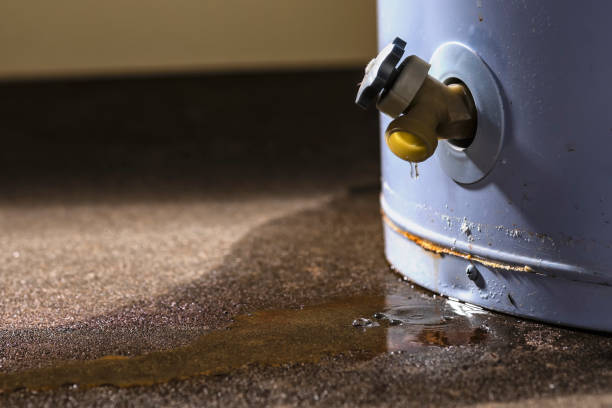 Best Mold removal after water damage  in Malvern, PA