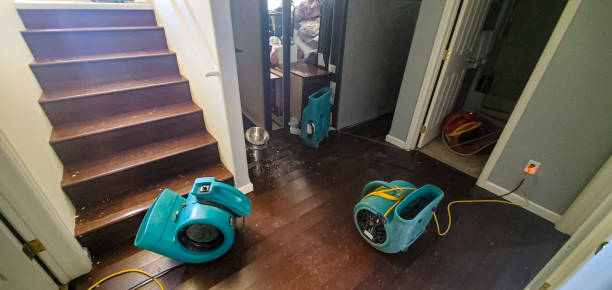 Best Water damage cleanup near me  in Malvern, PA