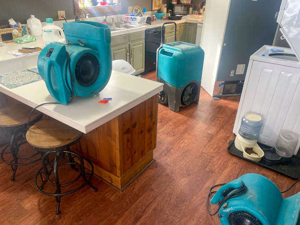 Best Mold removal after water damage  in Malvern, PA