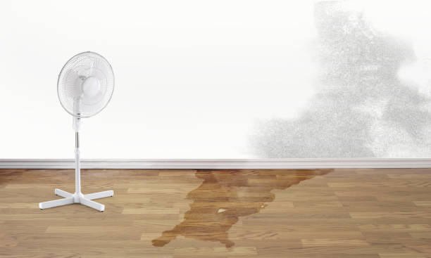 Best Basement water damage restoration  in Malvern, PA
