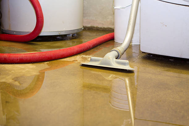 Carpet water damage restoration in Malvern, PA