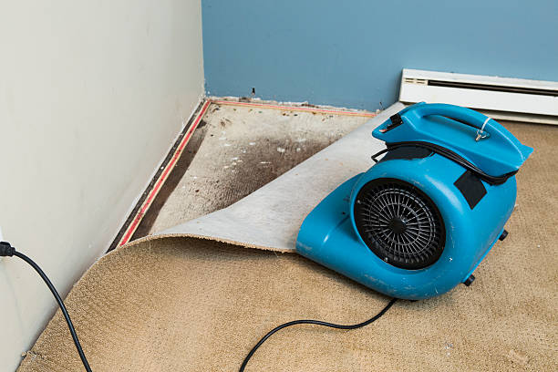 Best Water damage cleanup near me  in Malvern, PA